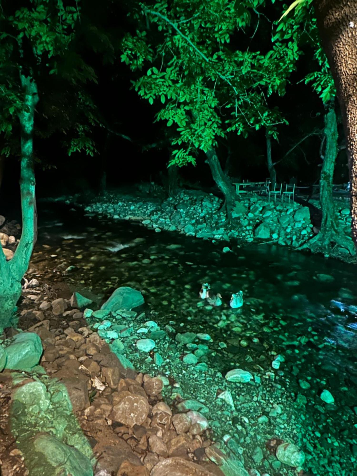 Sakliderebutikotel Edremit  Zewnętrze zdjęcie